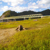 橋のある風景
