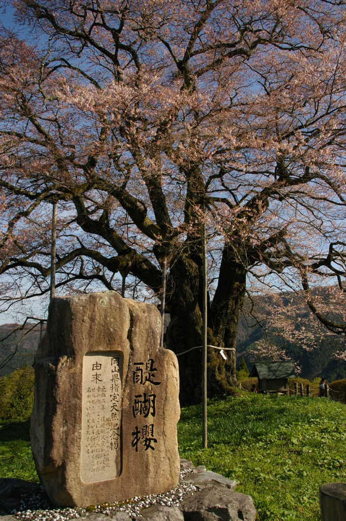 石碑の前に。