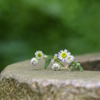 井戸のほとりに置いてあった花