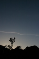夕凪