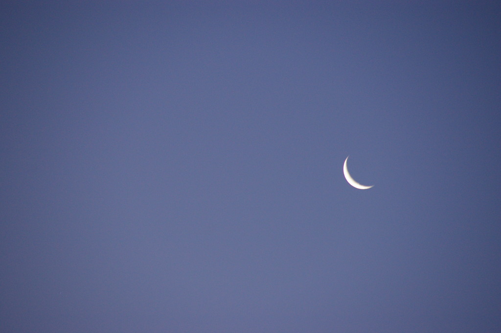 暁の空、白い月