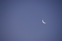 暁の空、白い月