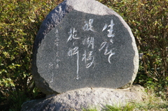 生きて、生きのびて、生きながらえて。