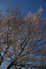 青空
