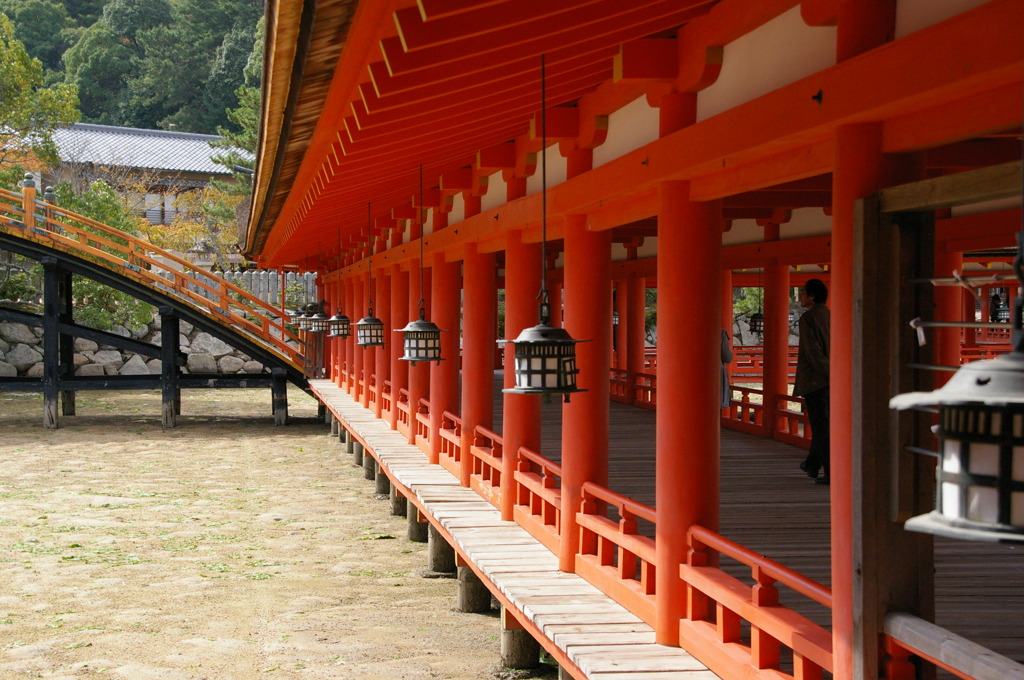 整然と並んでいる美学