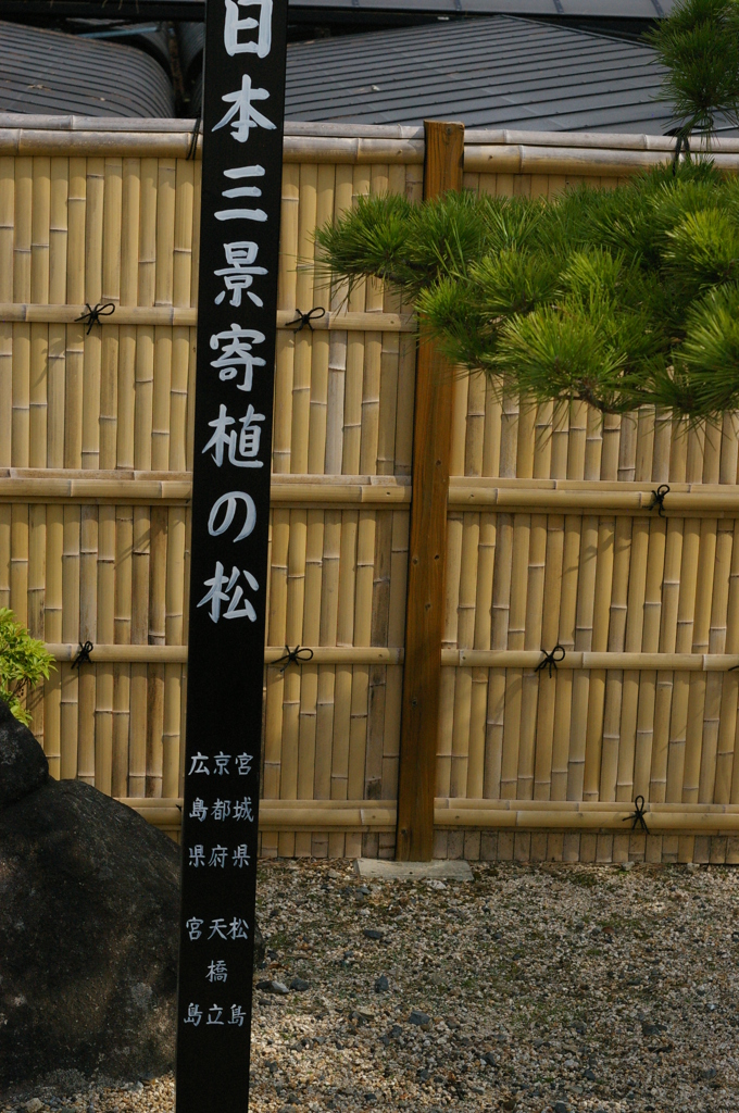 日本三景の松がここに揃ってたっていう、ね。