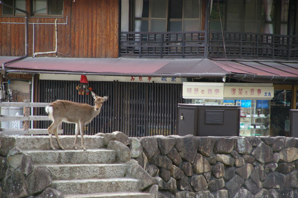 裏通りの先にある河川敷の・・・