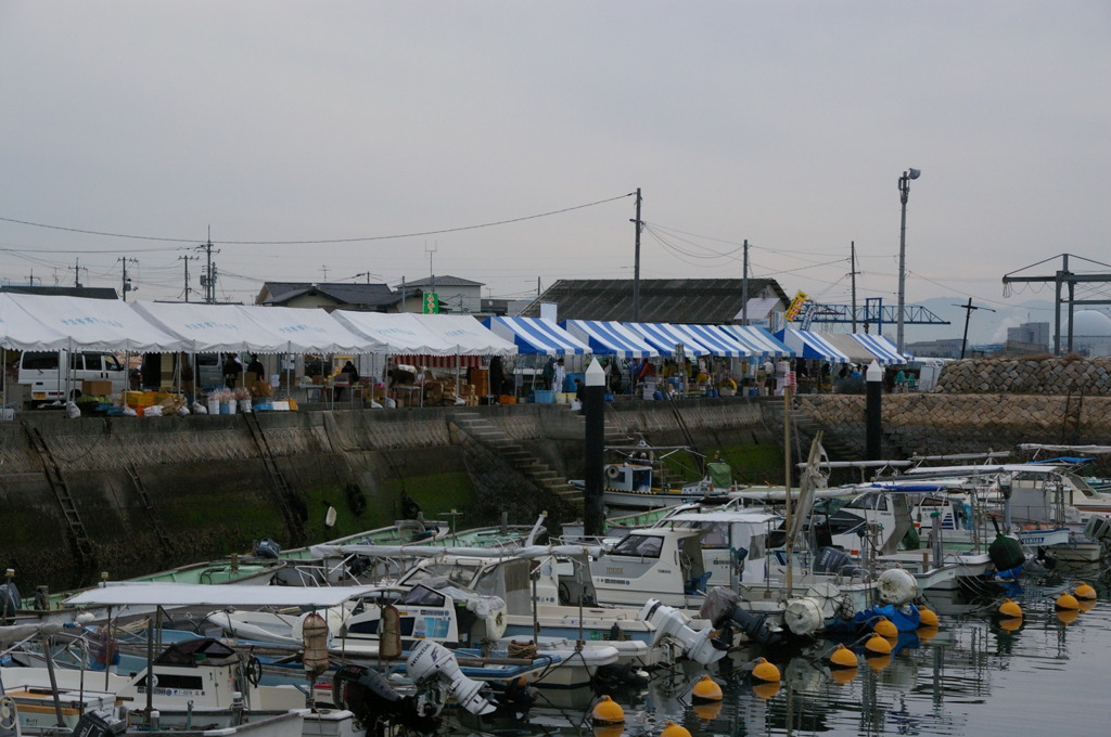 今日はお祭りなの