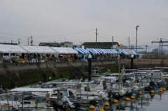 今日はお祭りなの