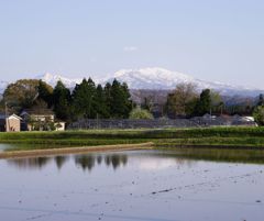 下田（しただ）から見た守門岳