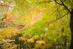 DSC00307