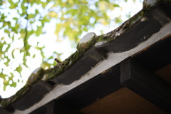 DSC00216