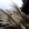 DSC00269