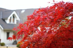 DSC00280