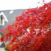 DSC00280