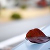 DSC00279