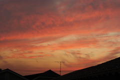 DSC00158