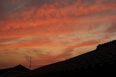DSC00157