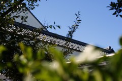 DSC00171