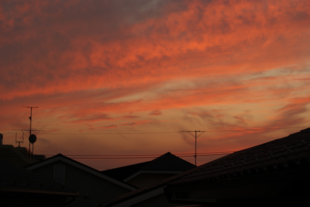 DSC00156