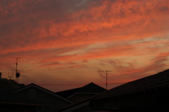 DSC00156