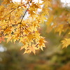 DSC00308