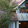 honka (20)