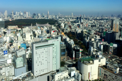 渋谷、ある晴れた日