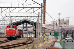 桜とＤＥ10（田端操車場）