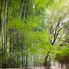 晩秋の大宮八幡宮 Ⅸ