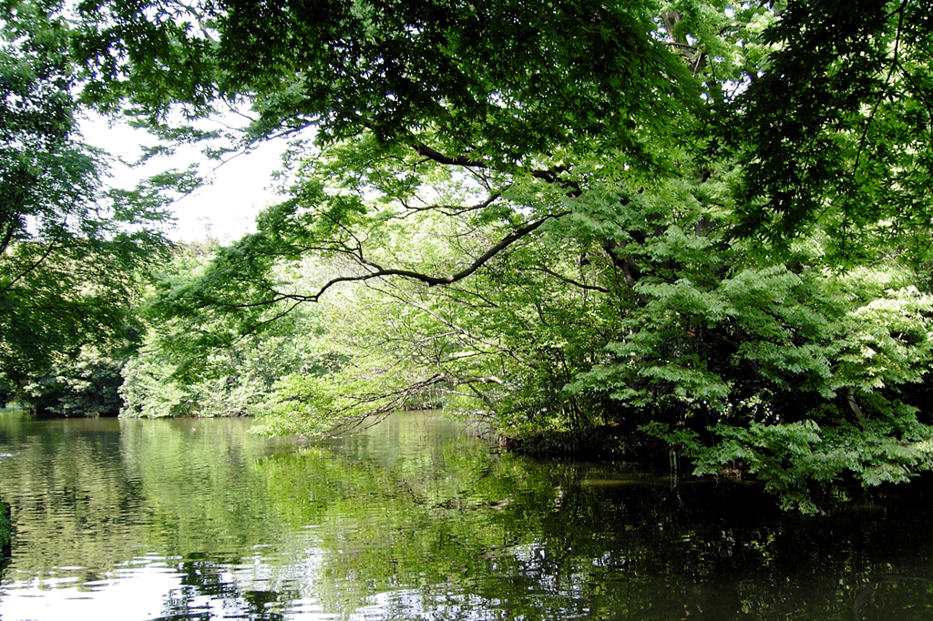 陽春の池 Ⅰ