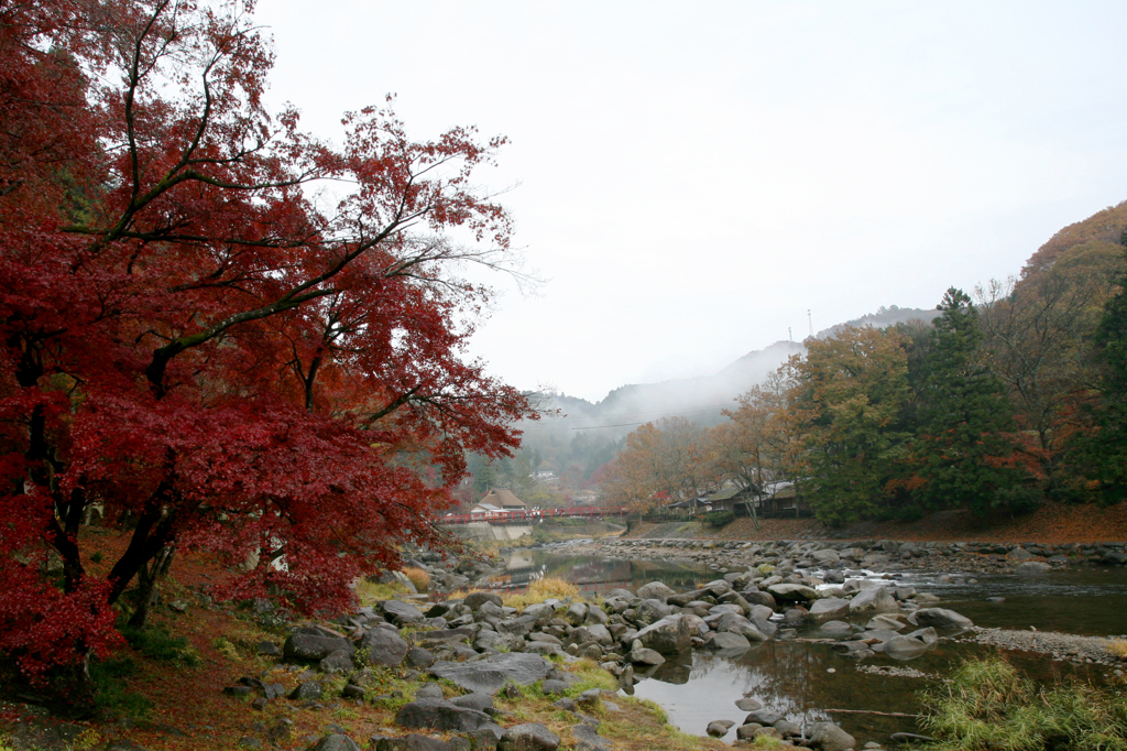 想い出の紅葉 Ⅱ