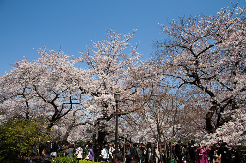 千鳥ヶ淵Ⅰ