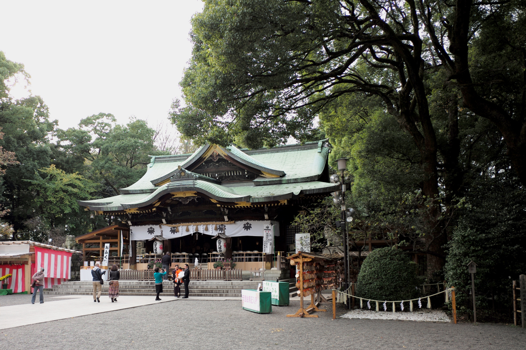 晩秋の大宮八幡宮 Ⅳ