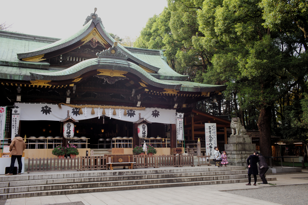 晩秋の大宮八幡宮 Ⅱ