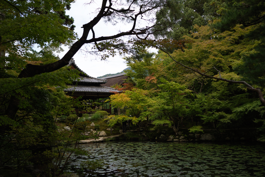 京都 天授庵