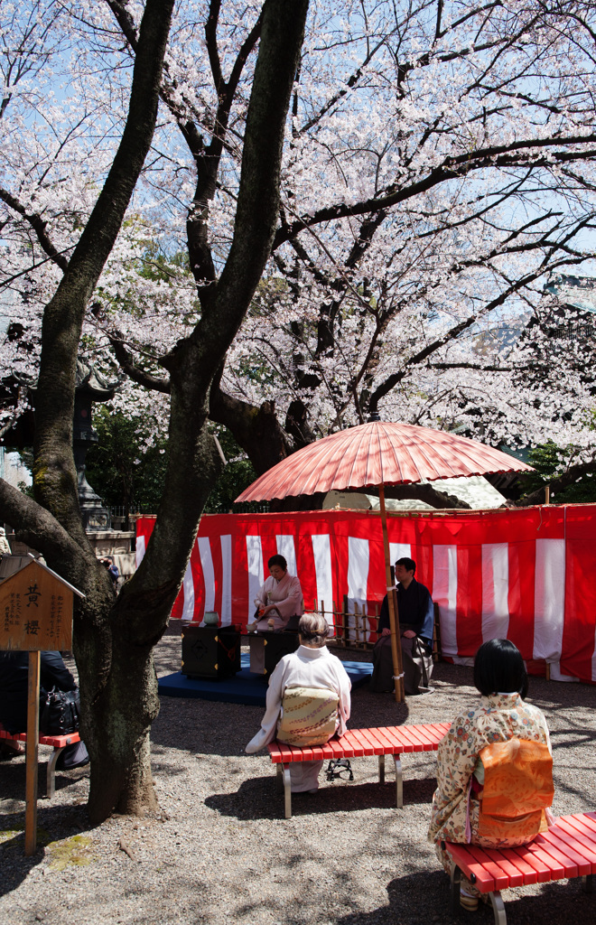 靖国神社Ⅱ