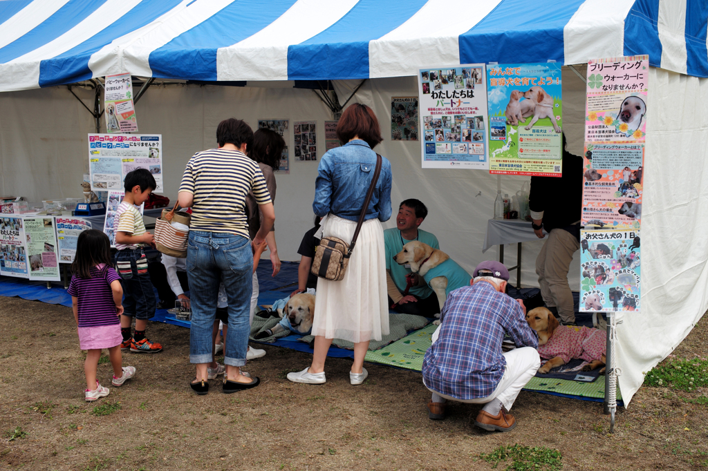 盲導犬協会テント