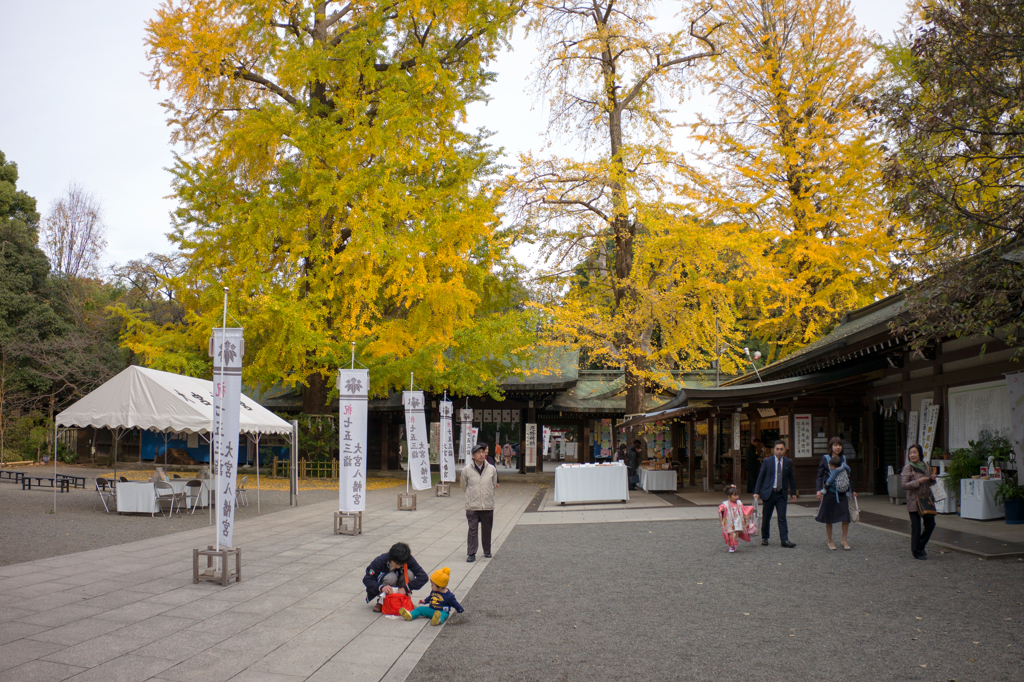 晩秋の大宮八幡宮 Ⅴ