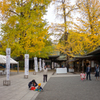晩秋の大宮八幡宮 Ⅴ