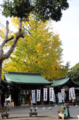 晩秋の大宮八幡宮 Ⅰ