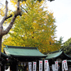 晩秋の大宮八幡宮 Ⅰ