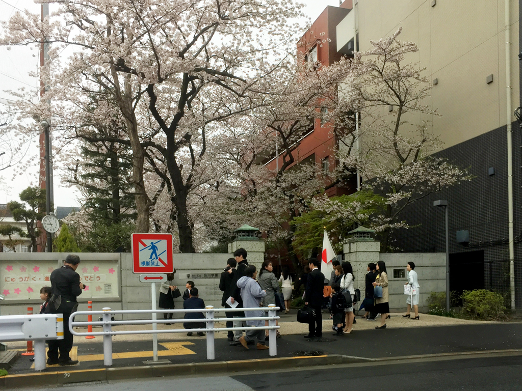 桜咲く入学式