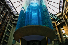 Radisson Blu Hotel　☆☆☆☆☆