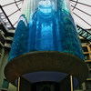 Radisson Blu Hotel　☆☆☆☆☆