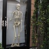 Bone Identity