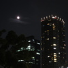 The moon in Nakanoshima