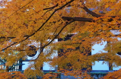 秋の寺