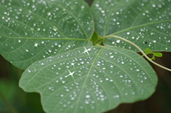 雨が上がって