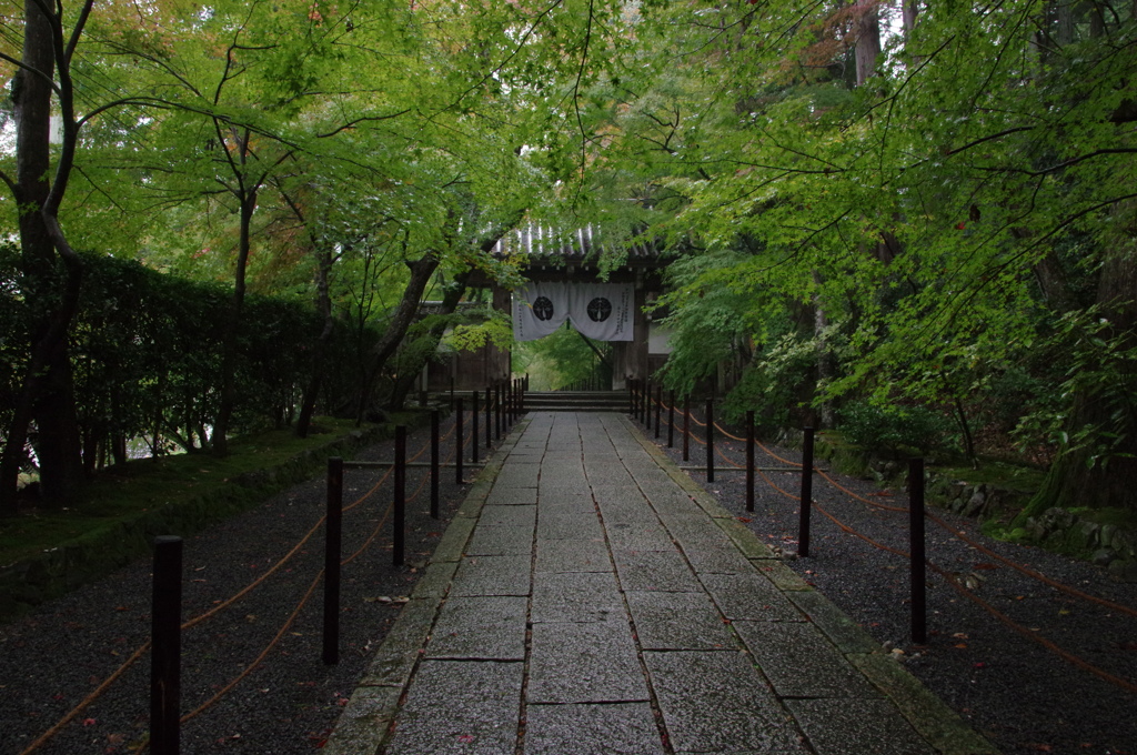 雨の薬師門